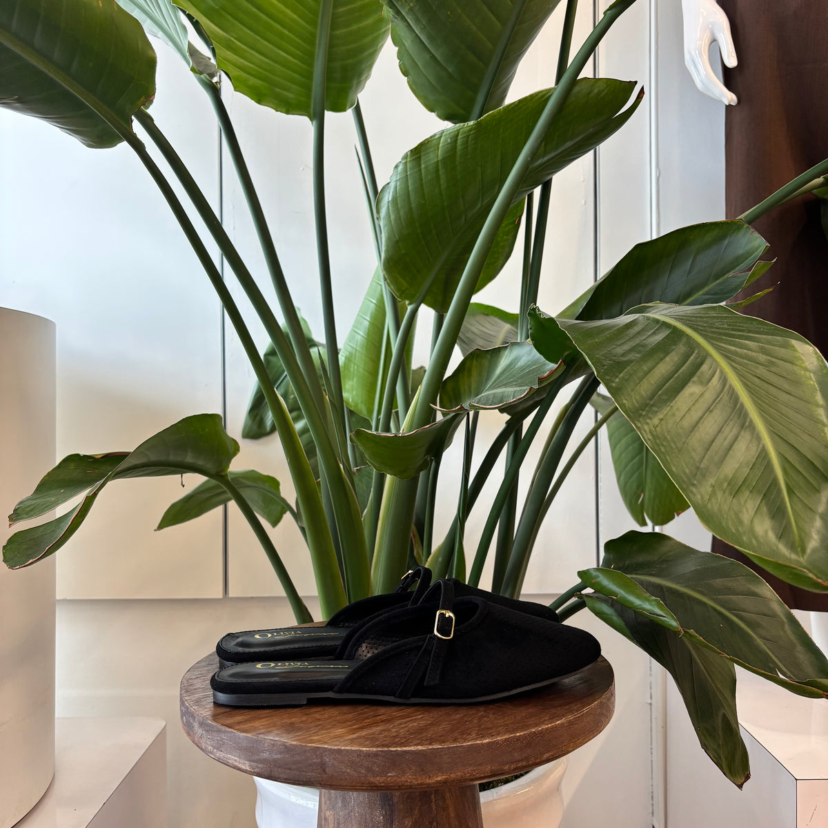Winnie Mules (Black)