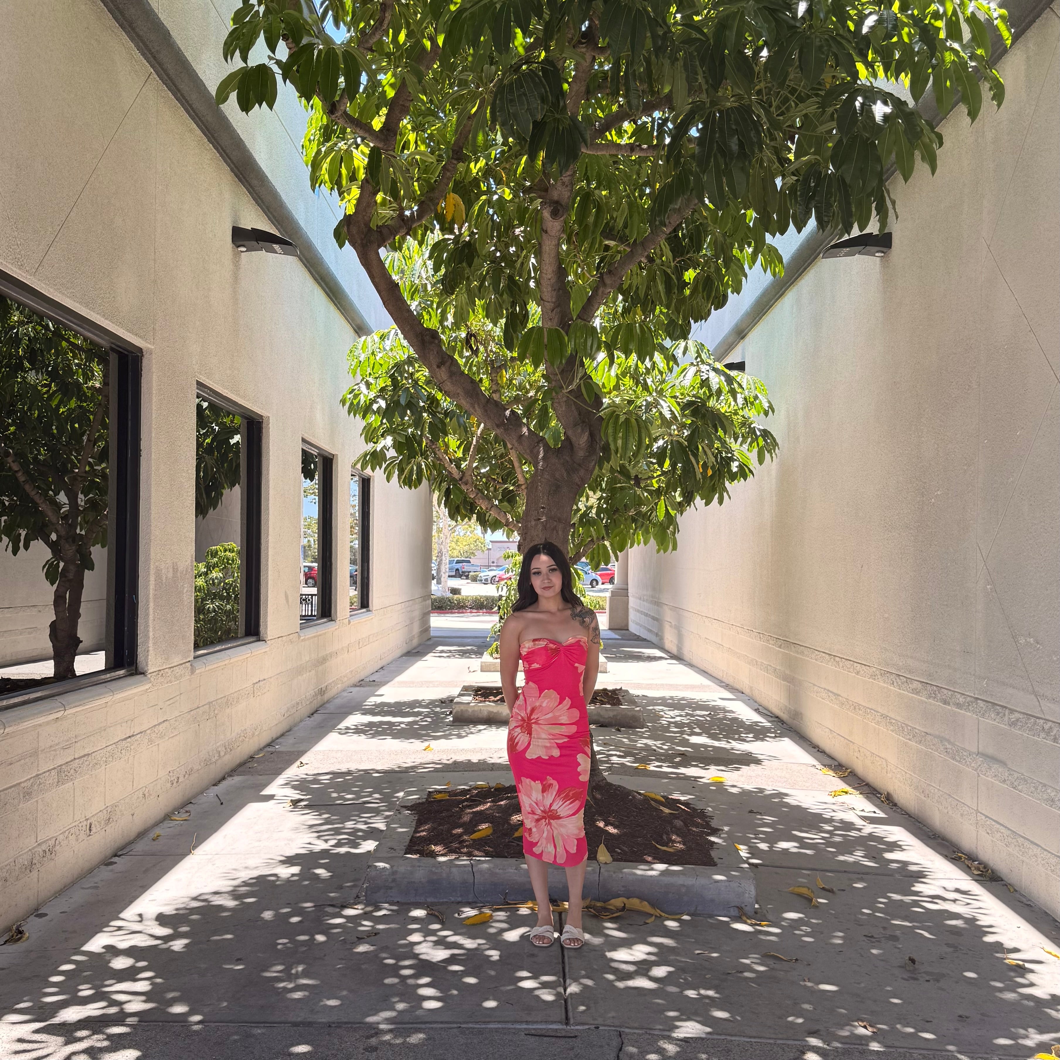 Sienna Floral Dress (Pink)