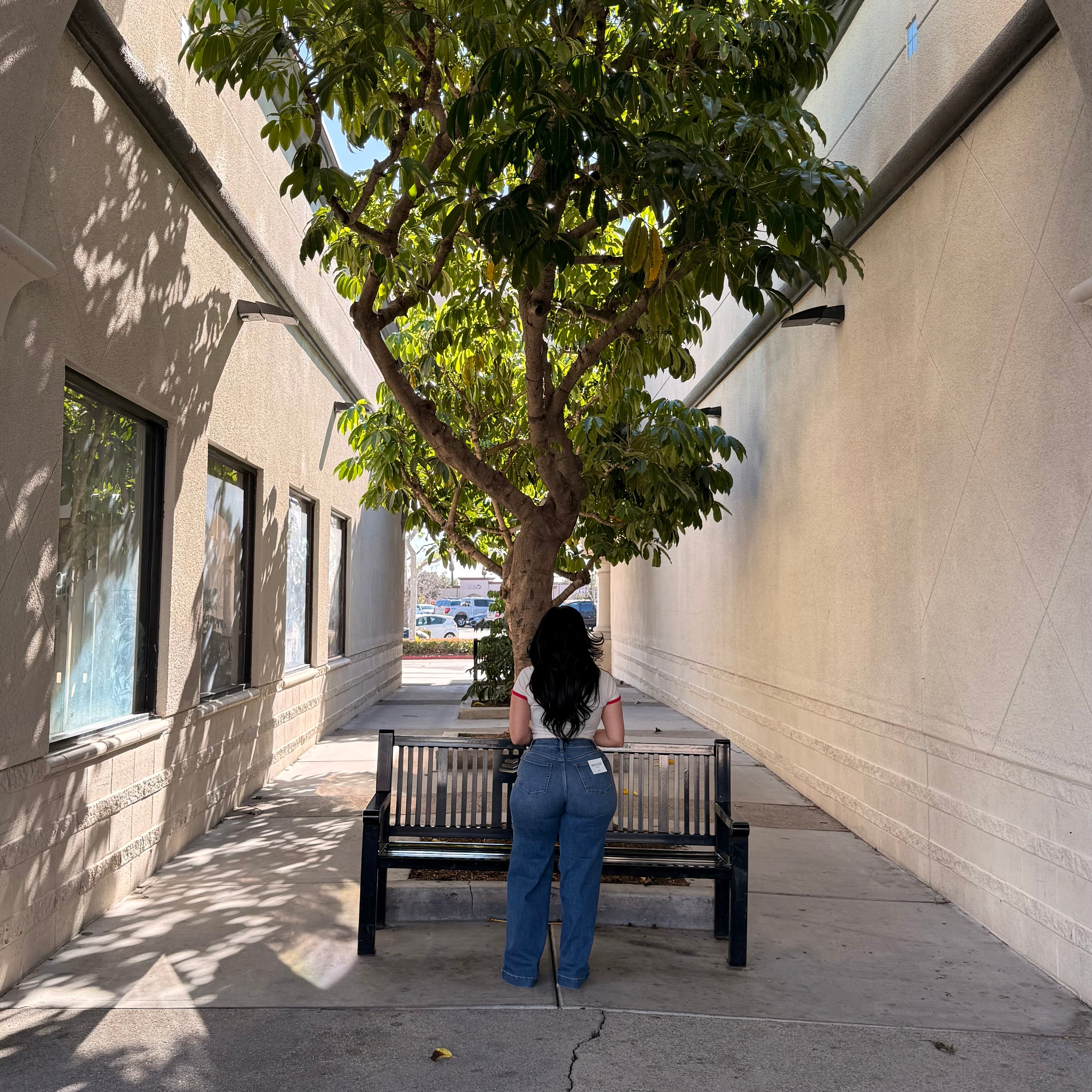 Levi High Rise Trouser (Tangi)