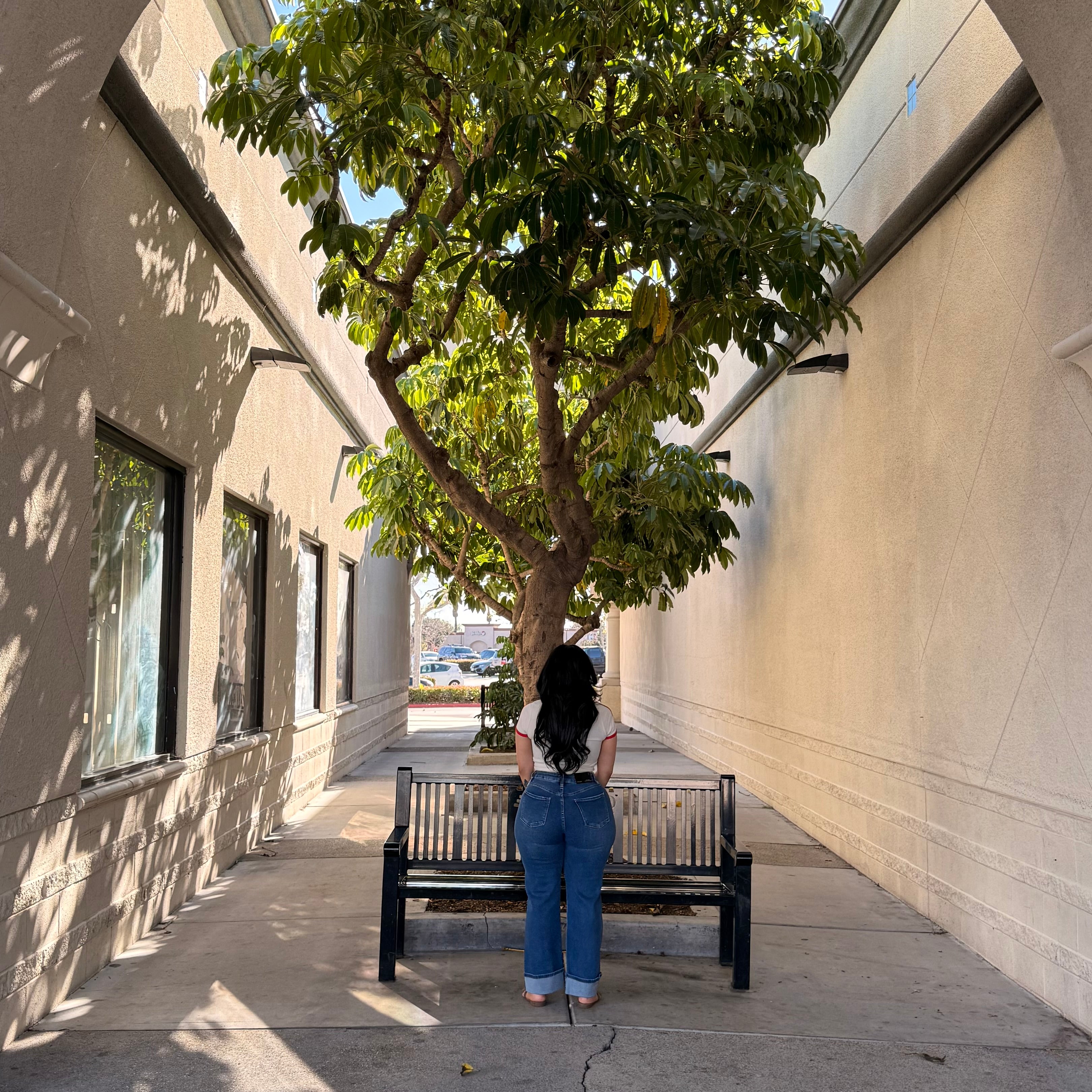 Elias High Rise Jeans (Dark)