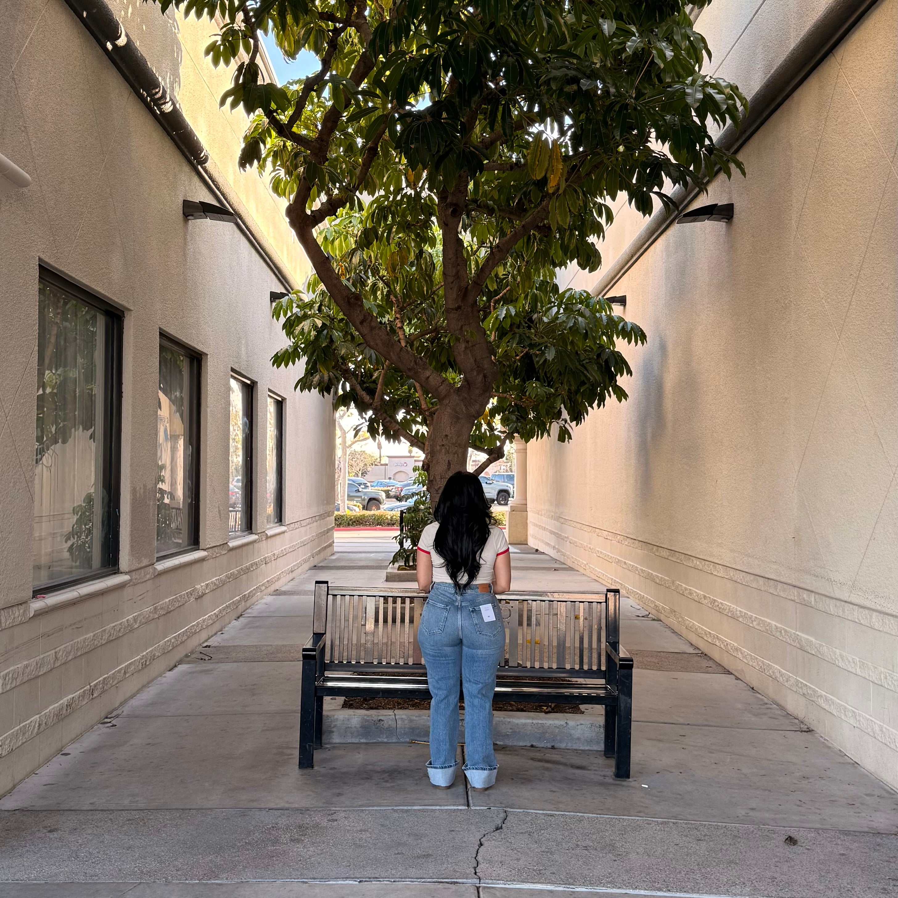 Damon High Rise Jeans (Med)