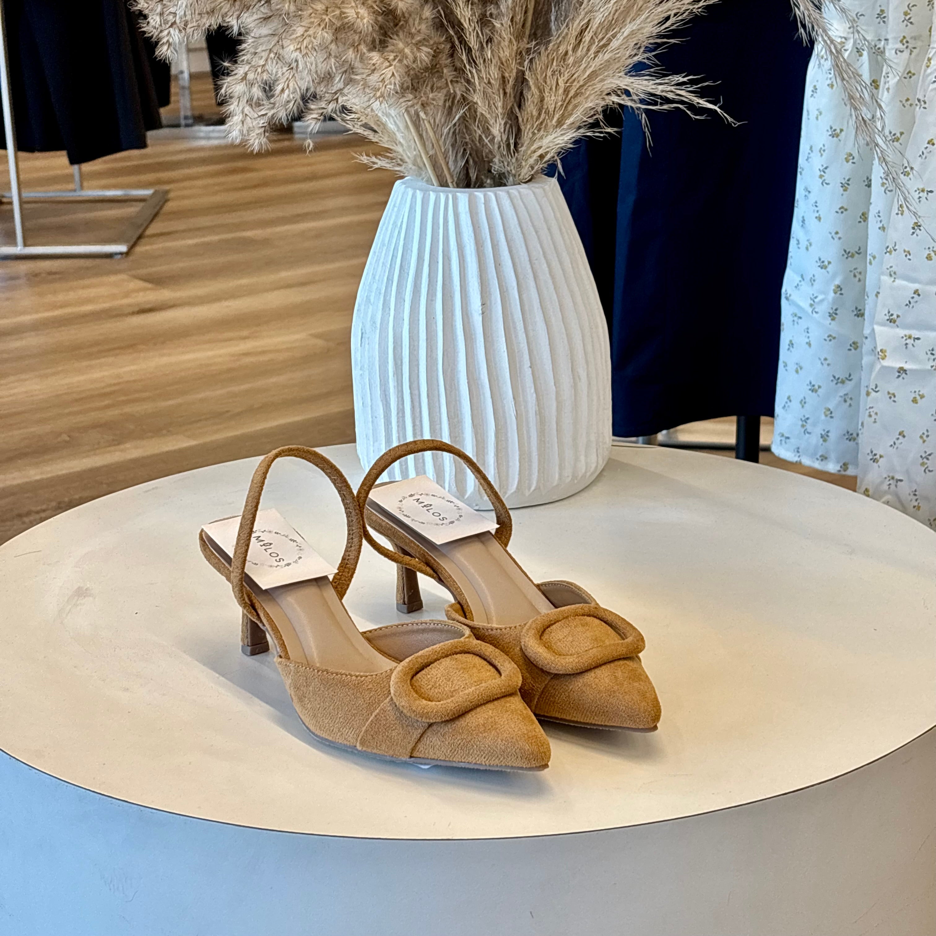 Ezra Heels (camel)