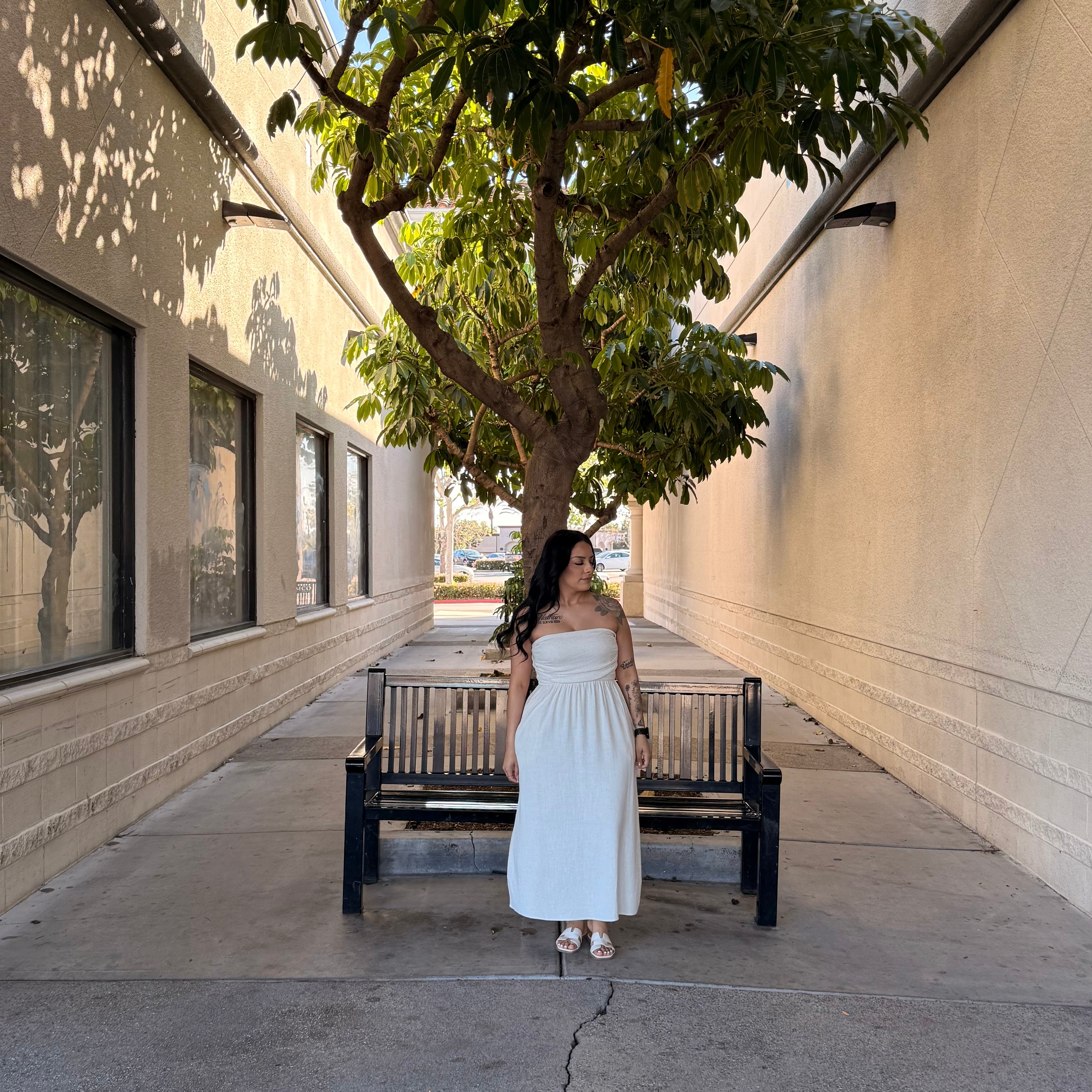 Daniela Linen Dress (Natural)