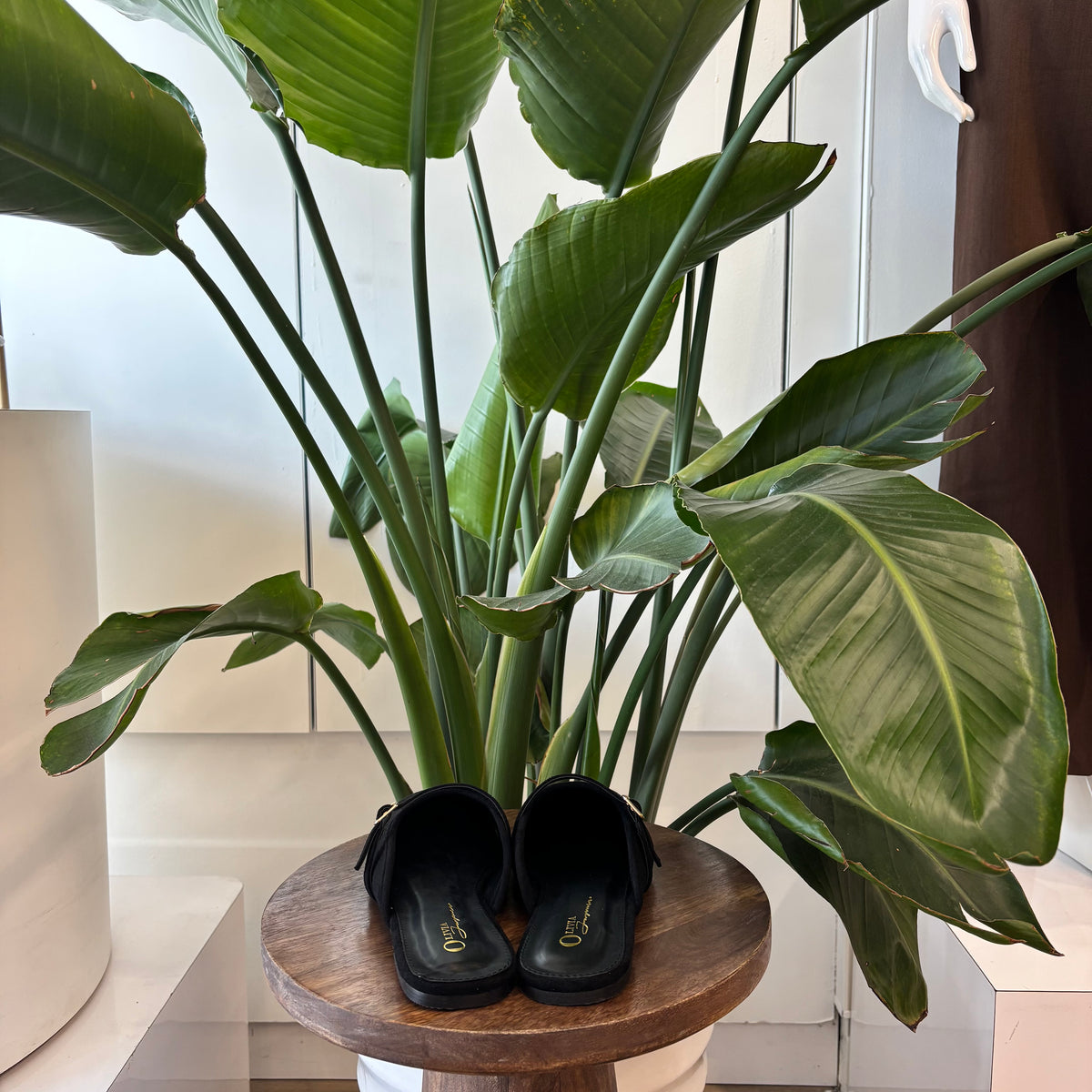 Winnie Mules (Black)