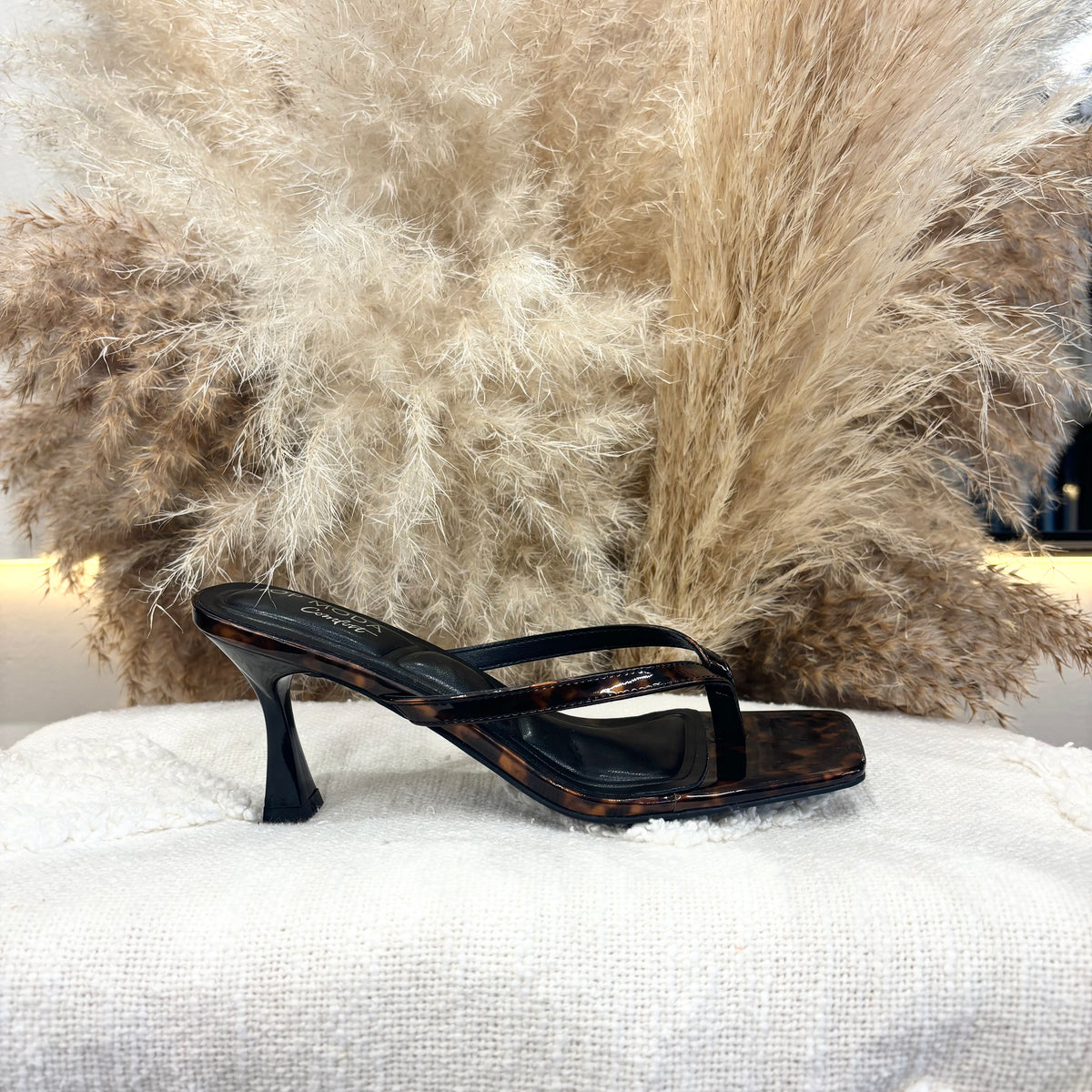 Katie Heels (Tortoise)