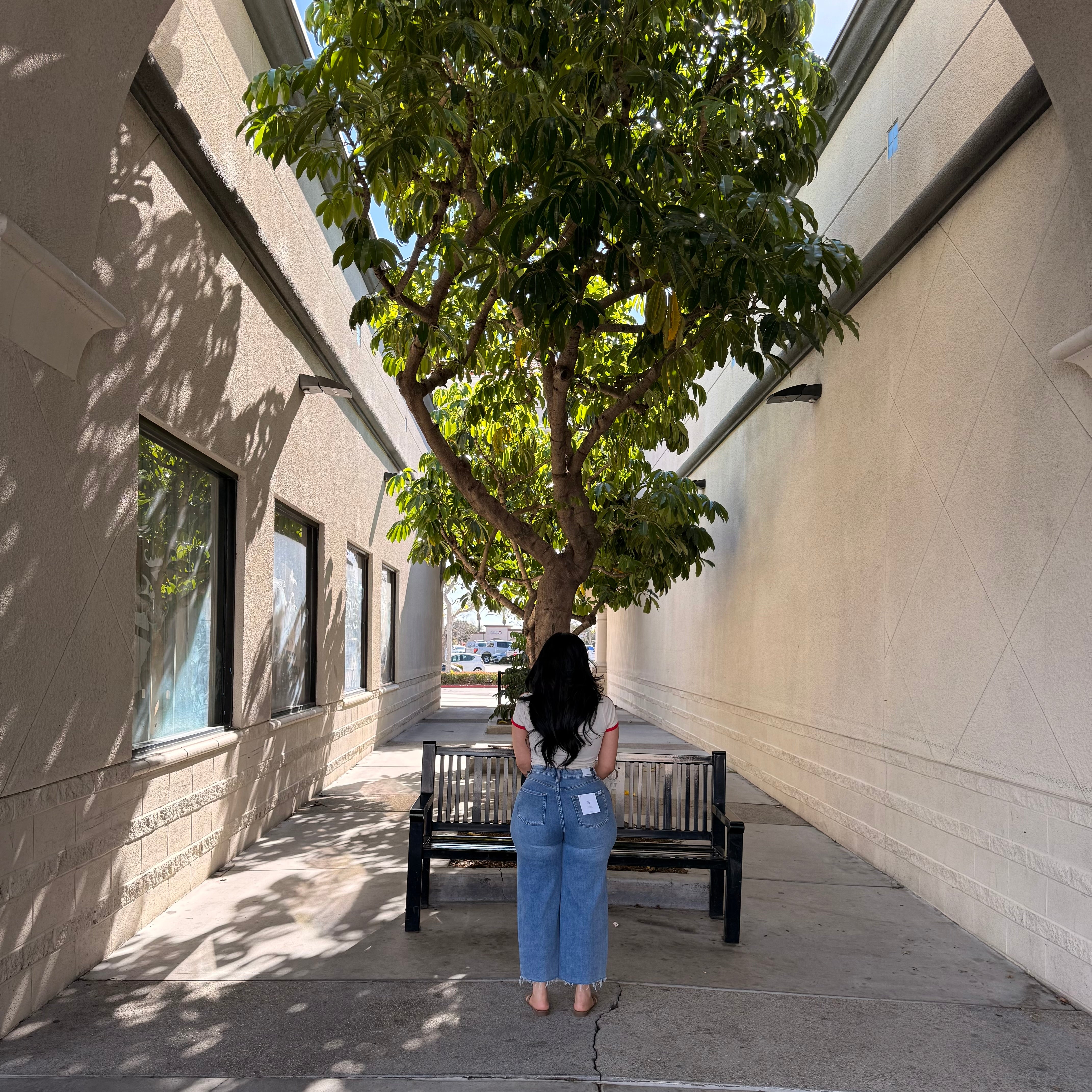 Abraham High Rise Wide Leg Jeans (Med)