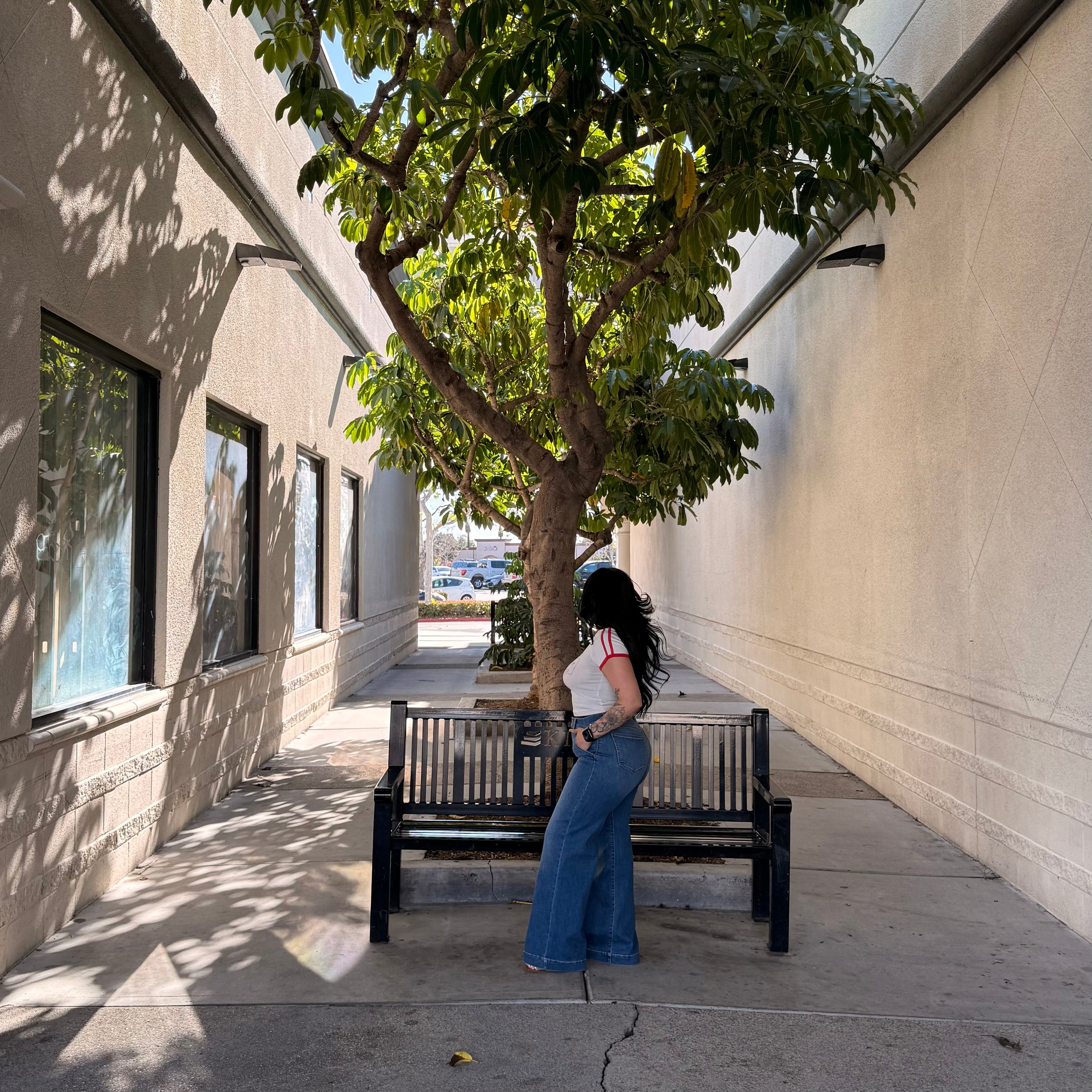 Levi High Rise Trouser (Tangi)