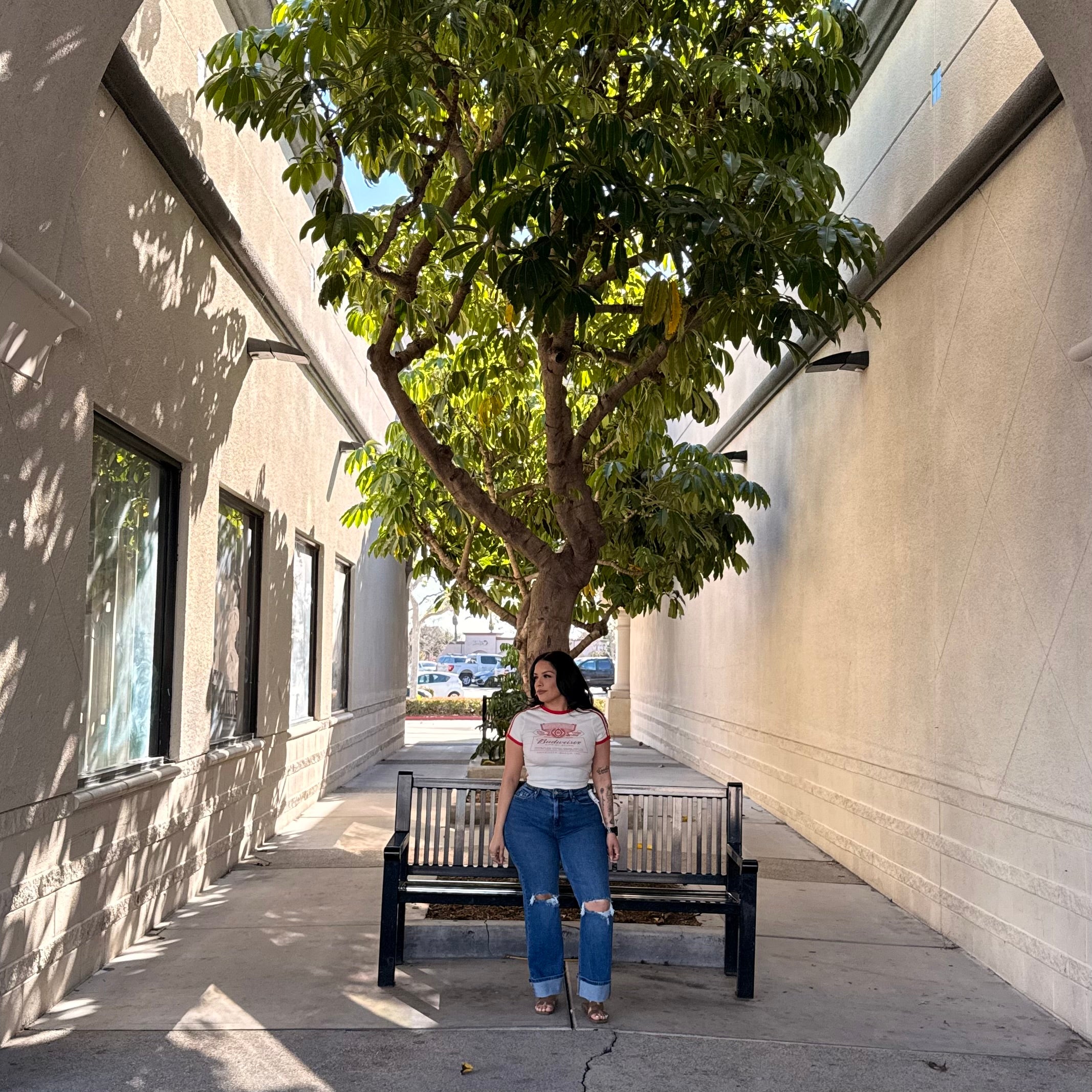 Elias High Rise Jeans (Dark)