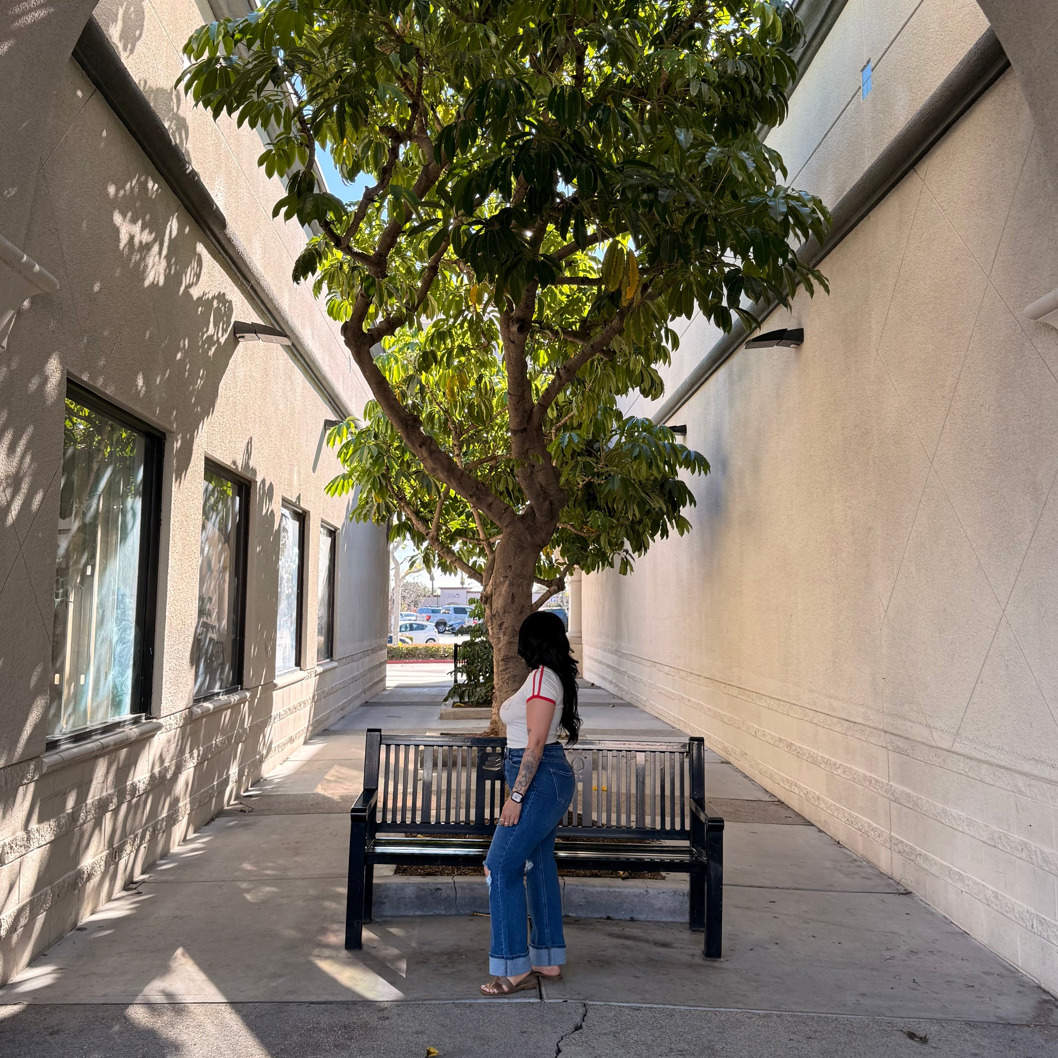 Elias High Rise Jeans (Dark)