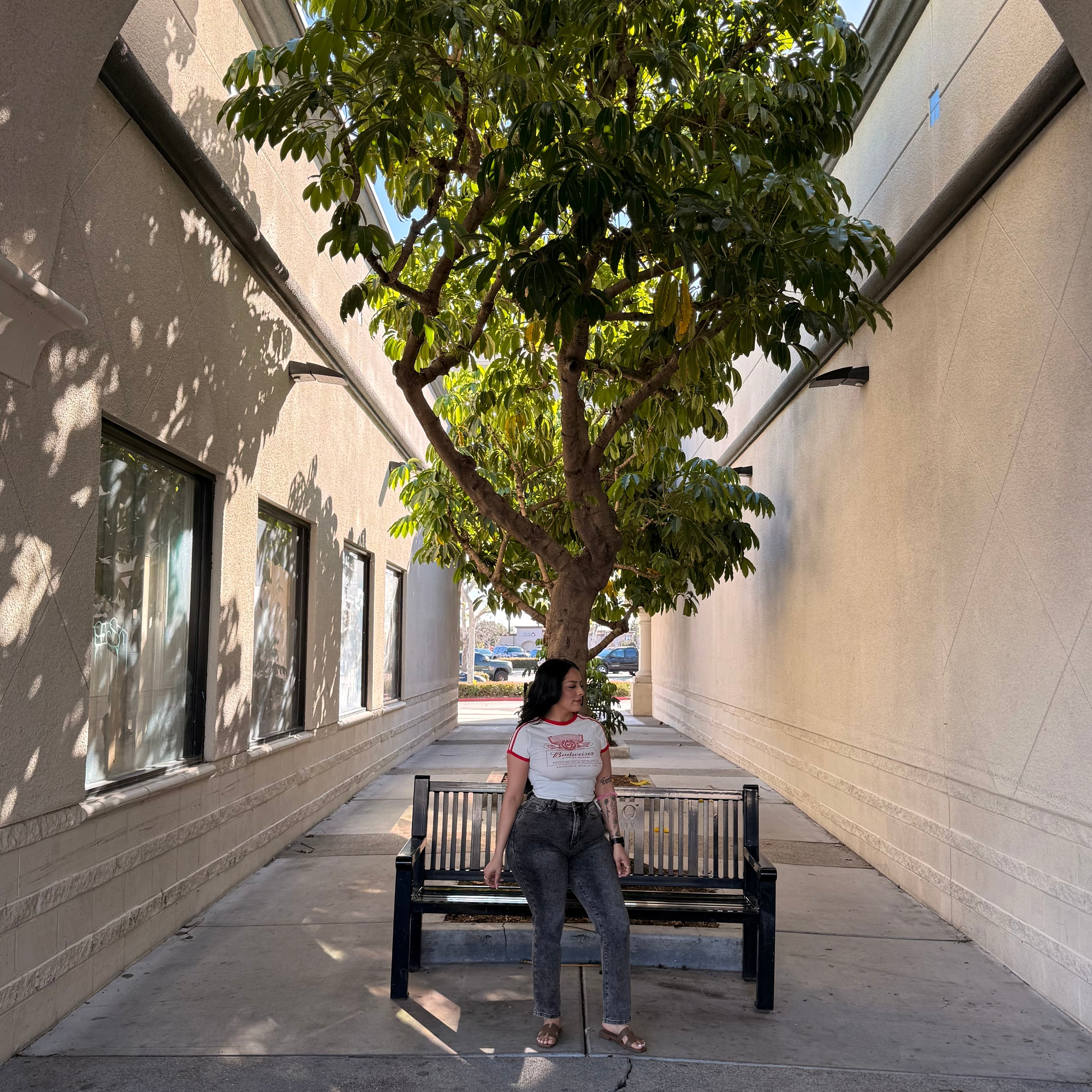 Mateo High Rise Jeans (Grey)