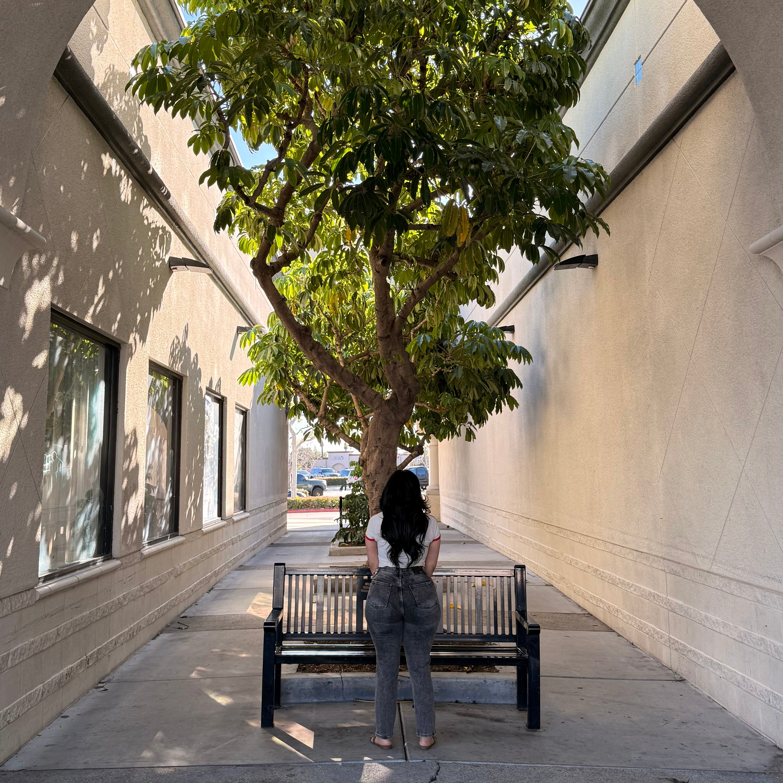 Mateo High Rise Jeans (Grey)