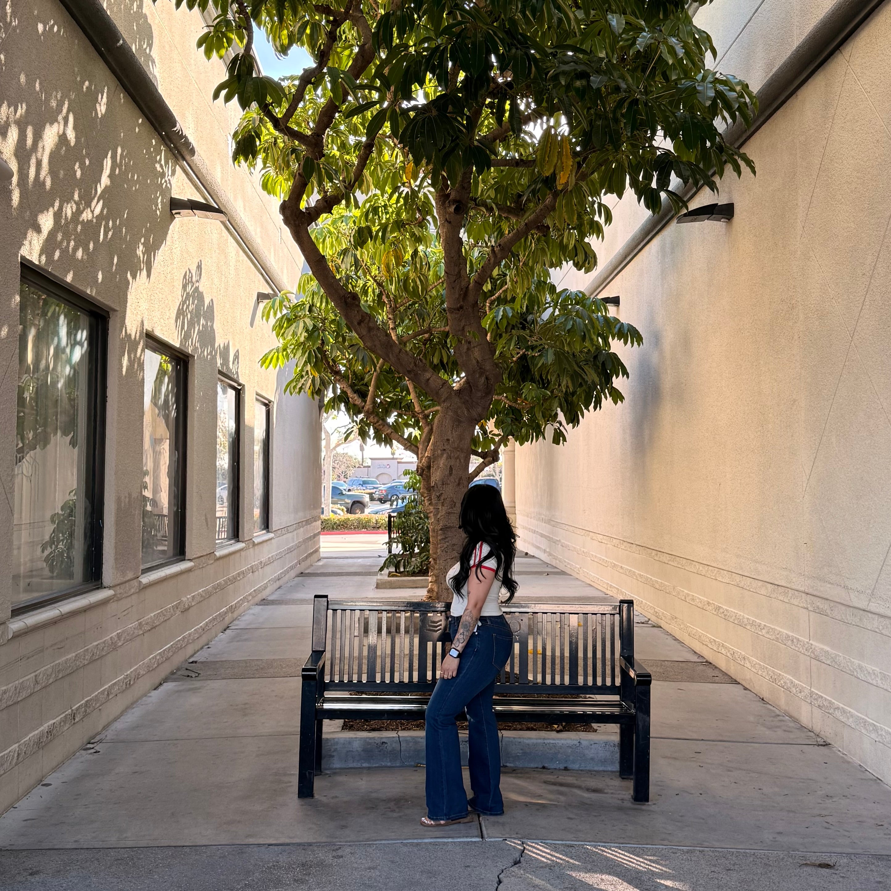 Taylor Low Rise Bootcut Jeans