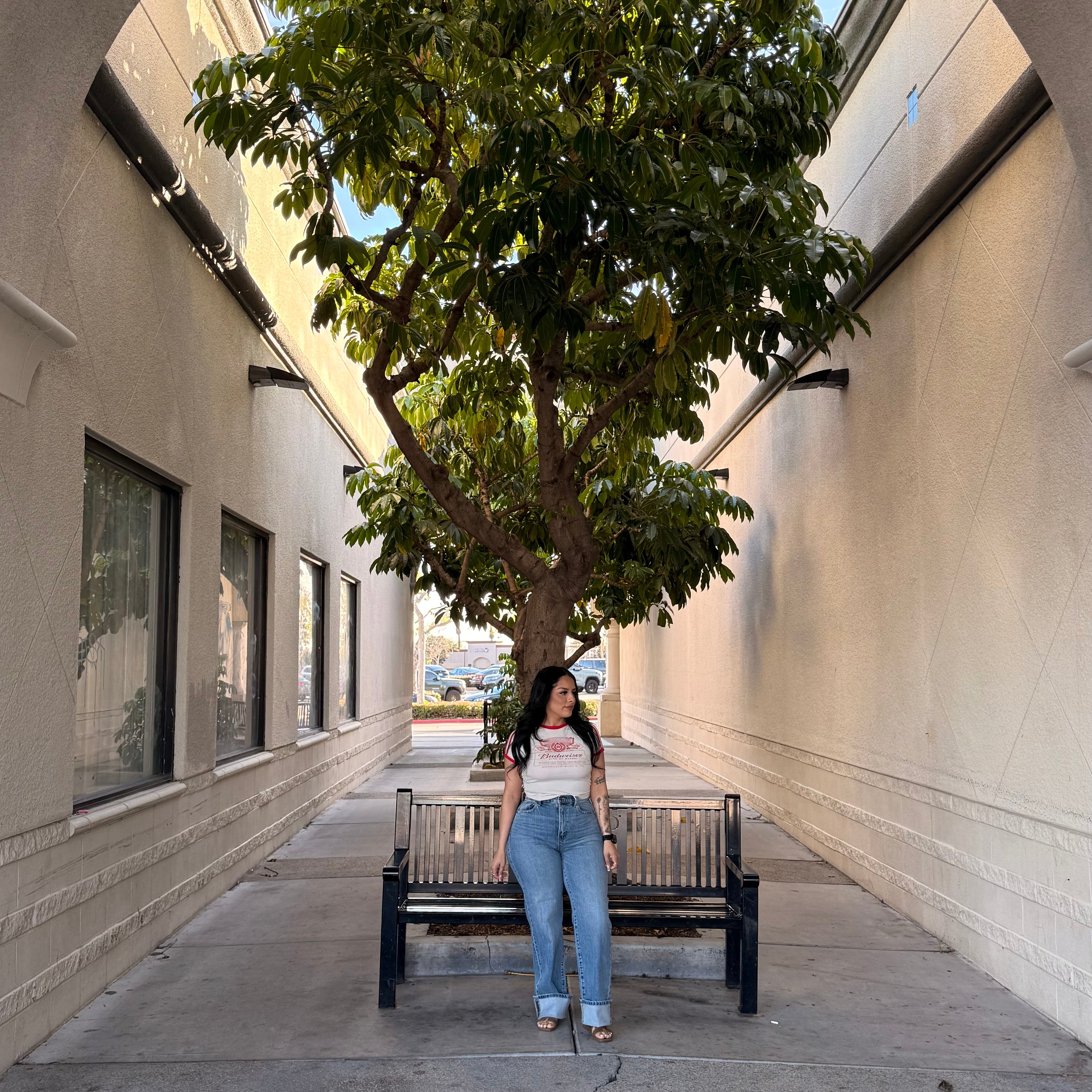 Damon High Rise Jeans (Med)