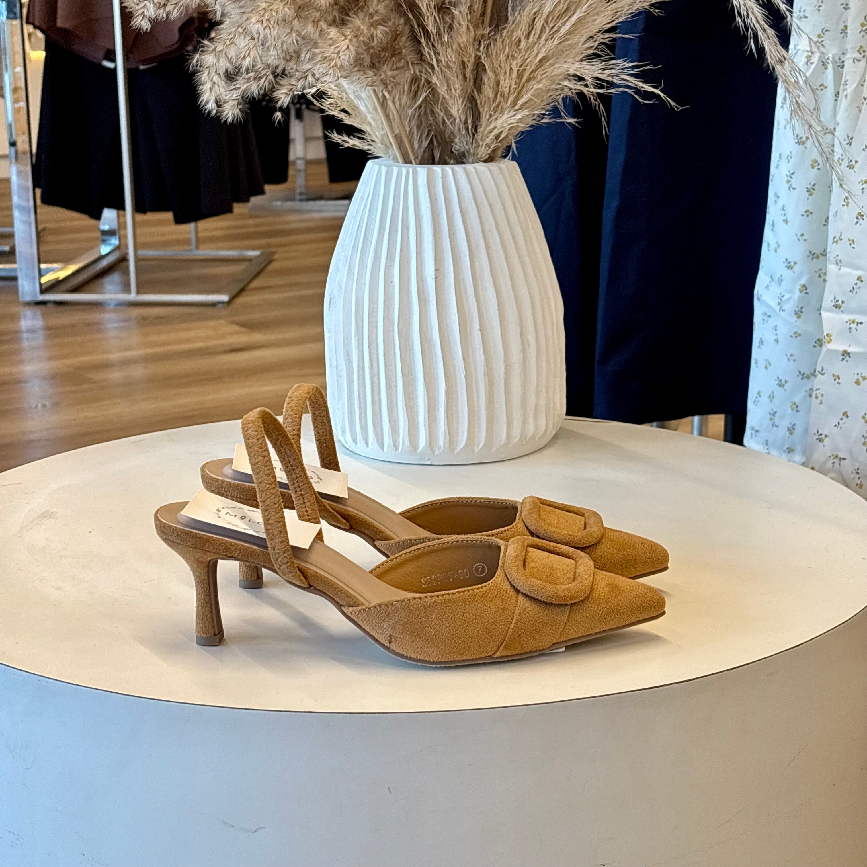 Ezra Heels (camel)