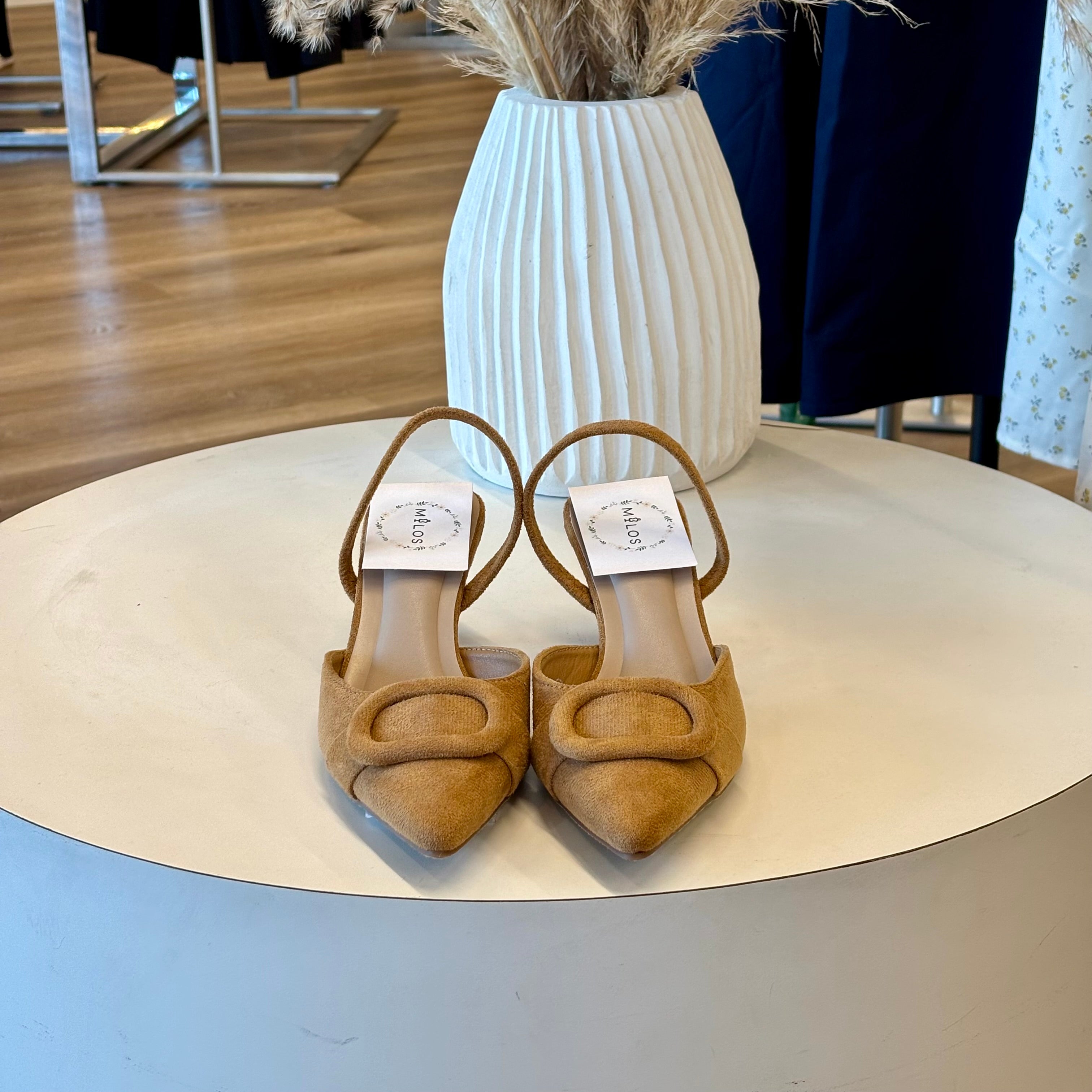 Ezra Heels (camel)