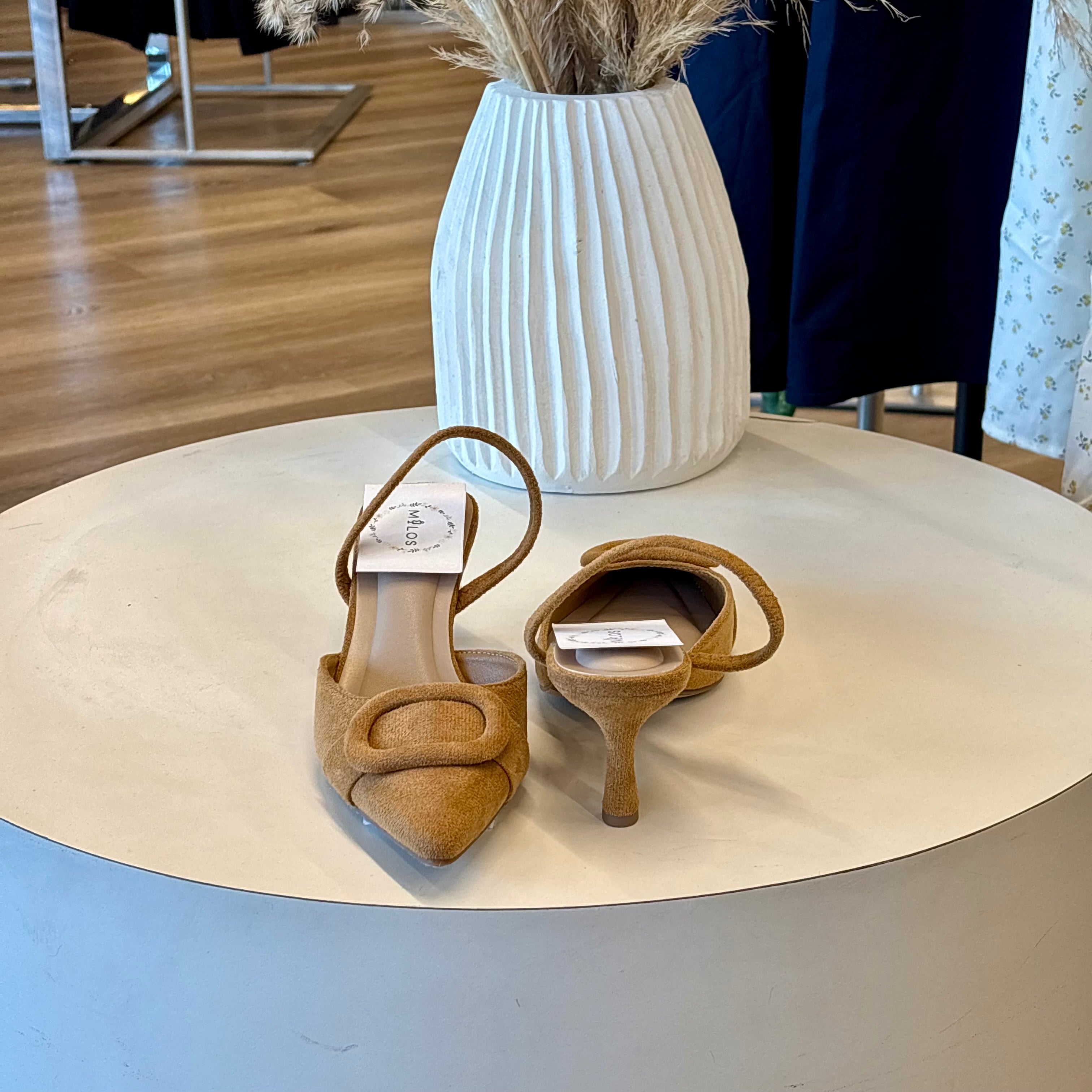 Ezra Heels (camel)