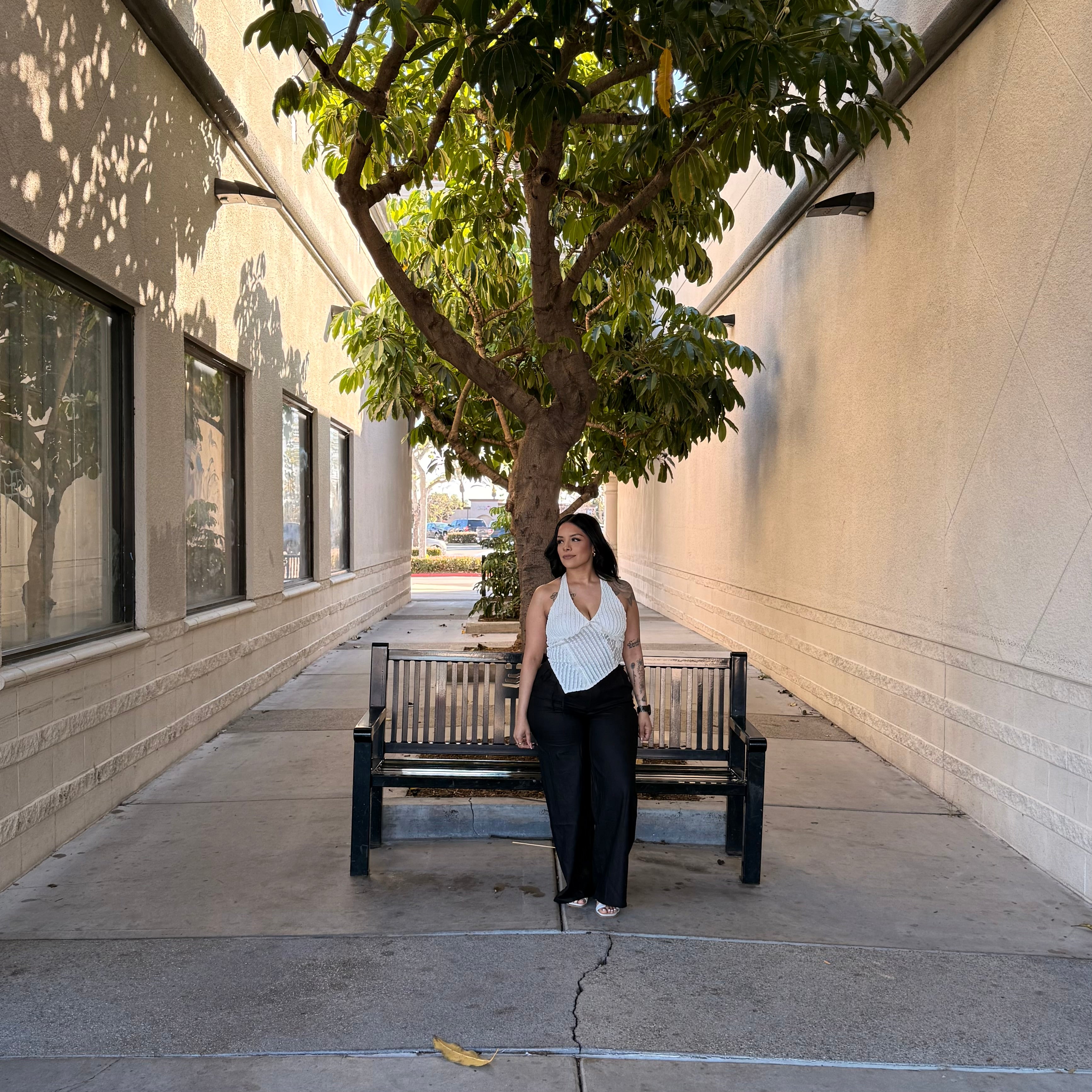 Raven Linen Pants (Black)