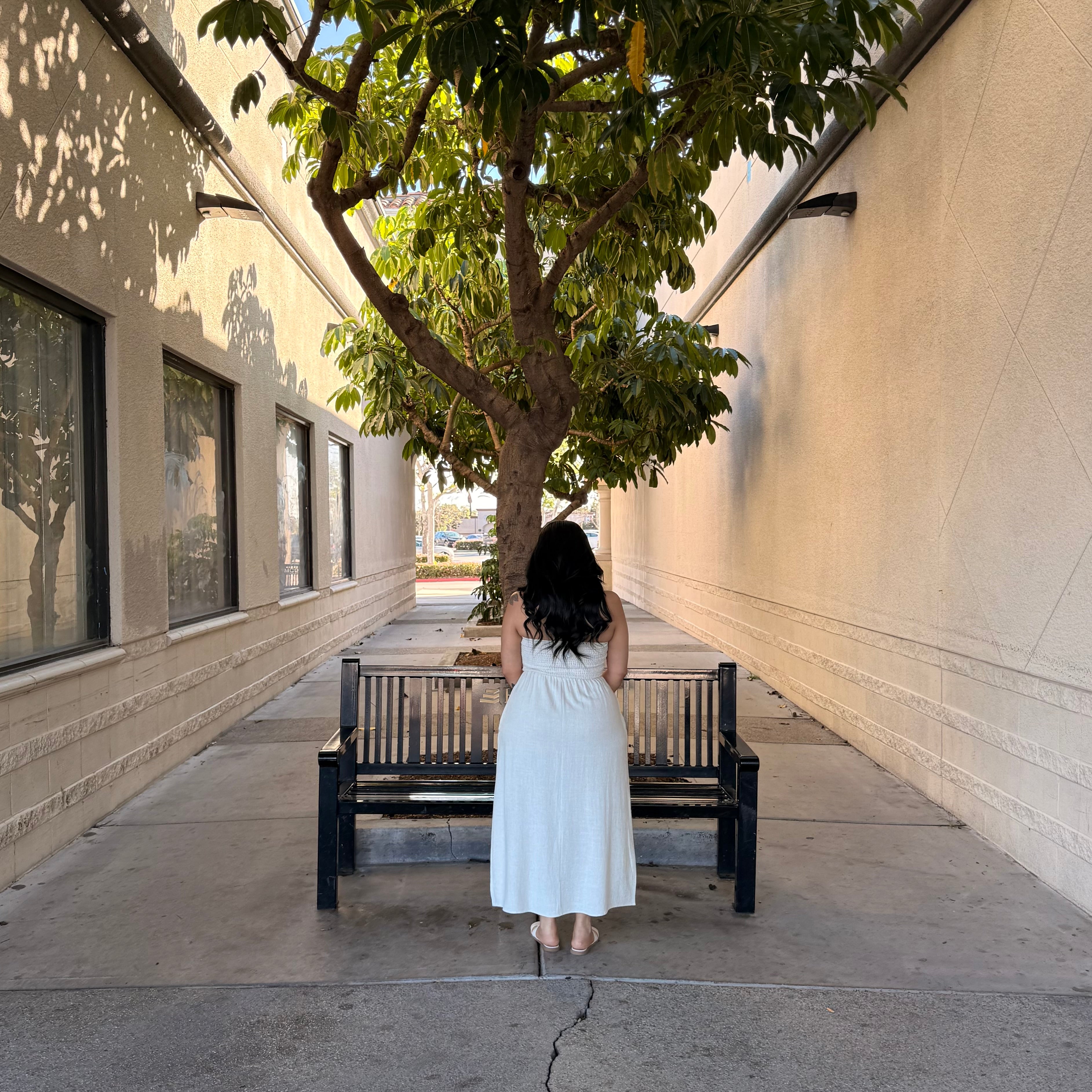 Daniela Linen Dress (Natural)