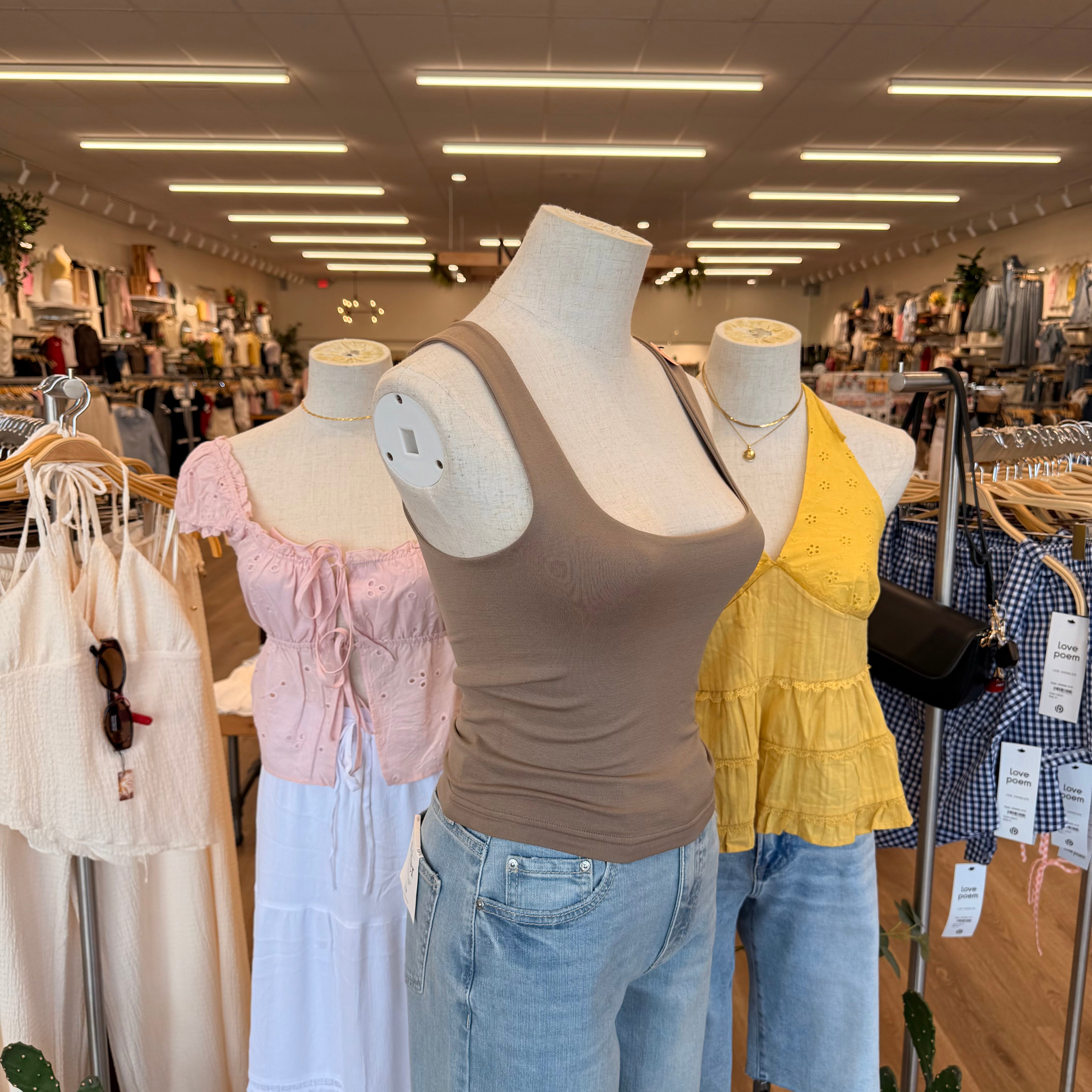 Violet Top(Fallen Rock)